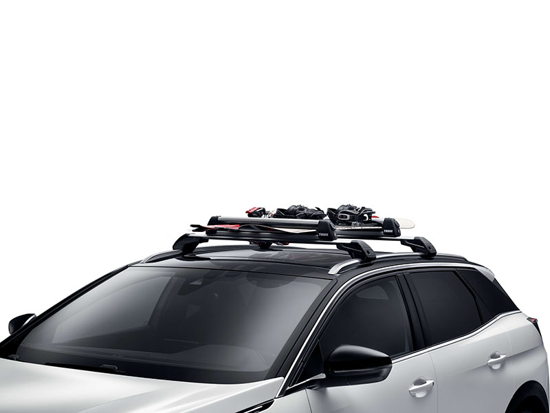 PEUGEOT 407 Ski carrier - 4 skis